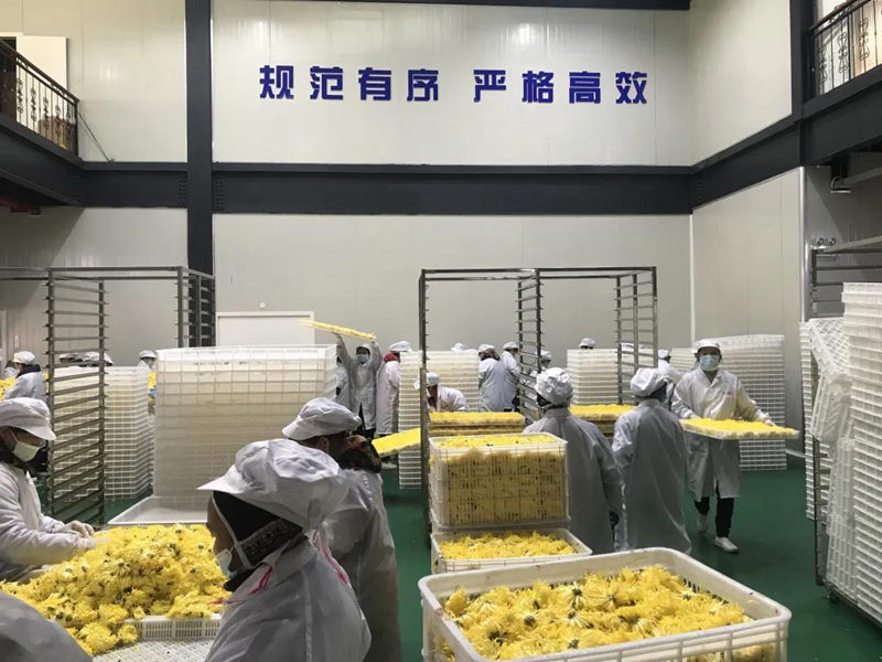 九五至尊VI老品牌值得信任 -官方网站