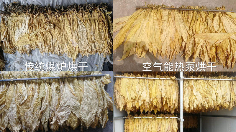 九五至尊VI老品牌值得信任 -官方网站
