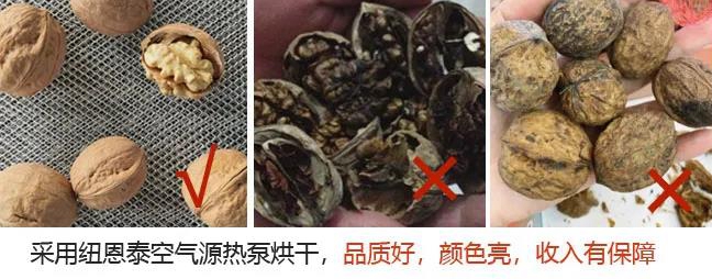 九五至尊VI老品牌值得信任 -官方网站