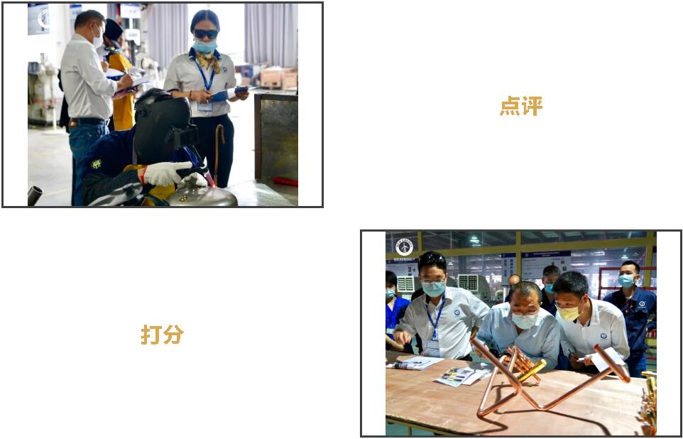 九五至尊VI老品牌值得信任 -官方网站
