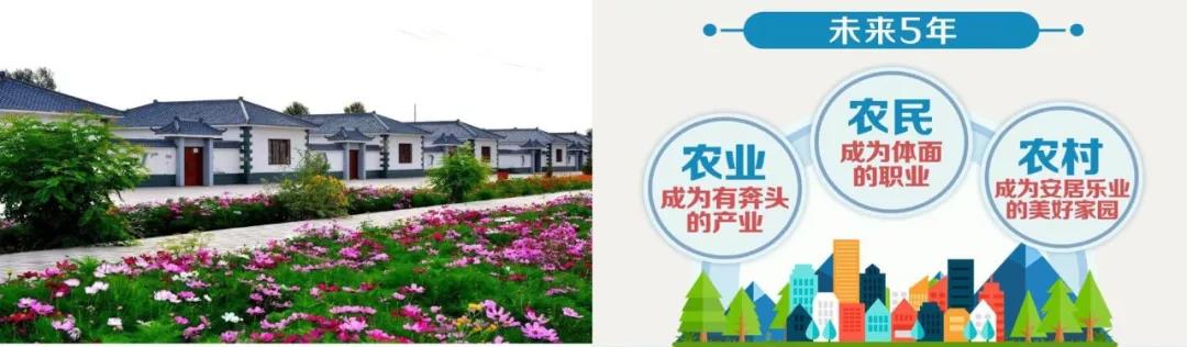 九五至尊VI老品牌值得信任 -官方网站