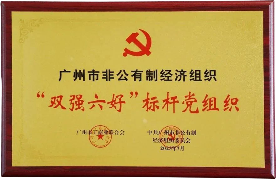 勇立时代潮头丨九五至尊VI老品牌党支部再获“双强六好”标杆党组织声誉